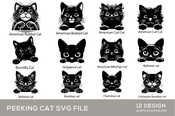 12 PEEKING CAT SVG Silhouette PNG Files