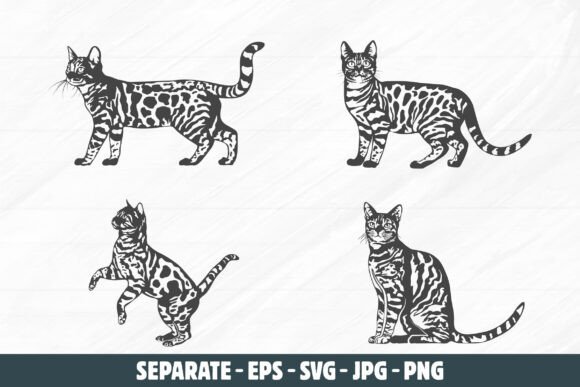 Bengal Cat Vector, Bengal Cat Svg