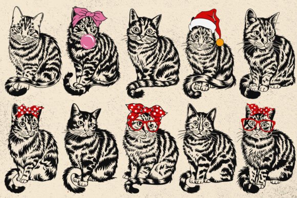 Cat SVG Files for Cricut, SVG for Maine
