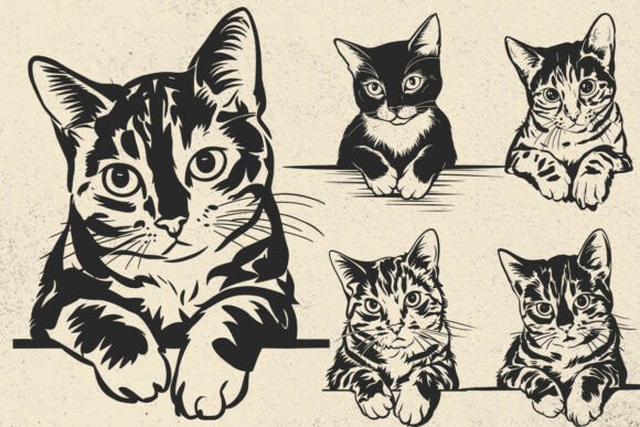 Cute Cat SVG Files for Cricut, Curious