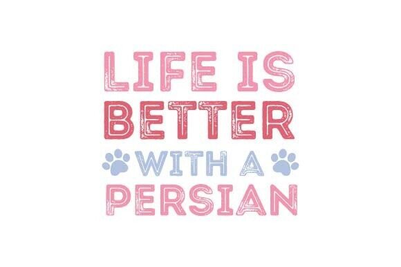 Retro Persian Cat SVG Design Review